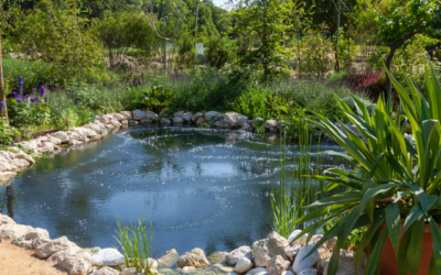 Création de bassins à Colmar : votre oasis aquatique