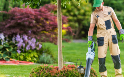 Entretien paysager à Colmar : maintenez votre jardin en bon état