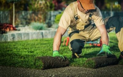 Entretien de jardin à Colmar : pour un espace verdoyant