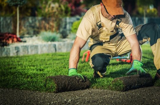 Entretien de jardin à Colmar