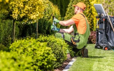 Entretien d’espaces verts dans le Haut-Rhin par des paysagistes professionnels