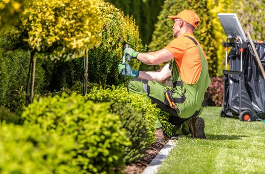 entretien d’espaces verts dans le Haut-Rhin