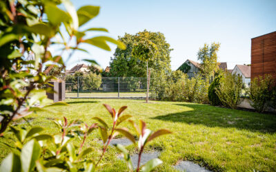 Clôture de jardin dans le Bas-Rhin : fabrication sur mesure, pose et entretien