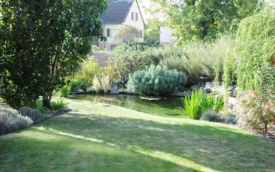 Aménagement de jardin à Colmar : ouvrez-vous à la nouveauté