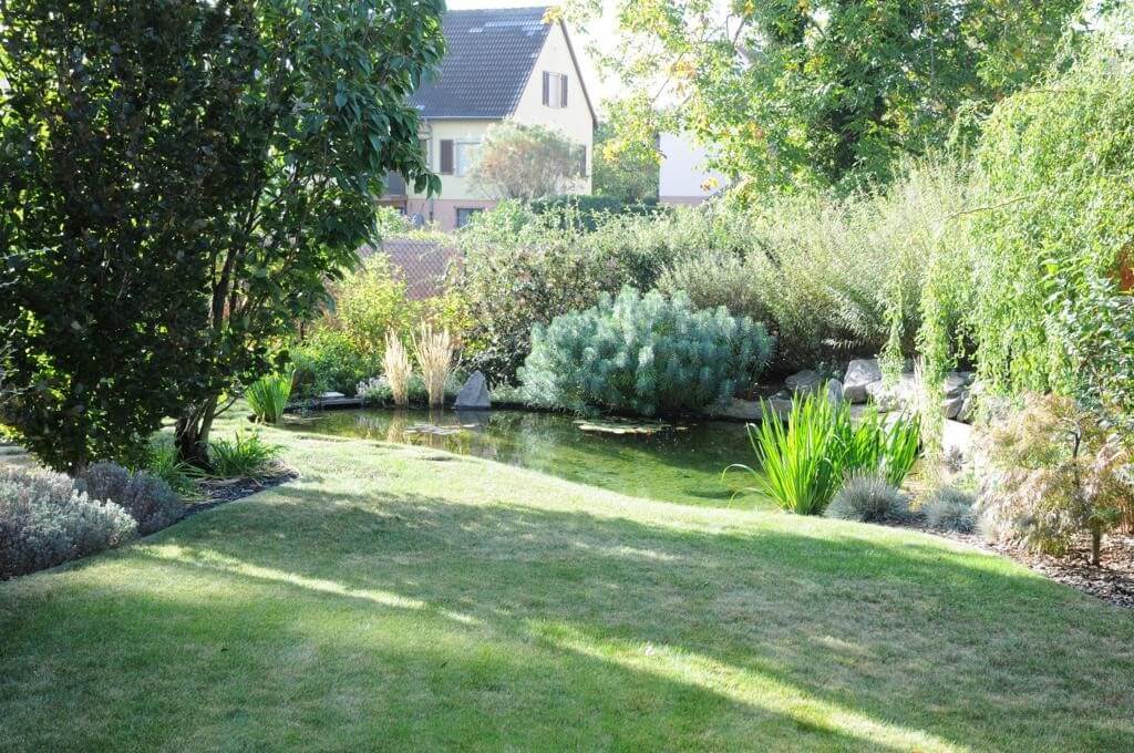 Aménagement de jardin à Colmar
